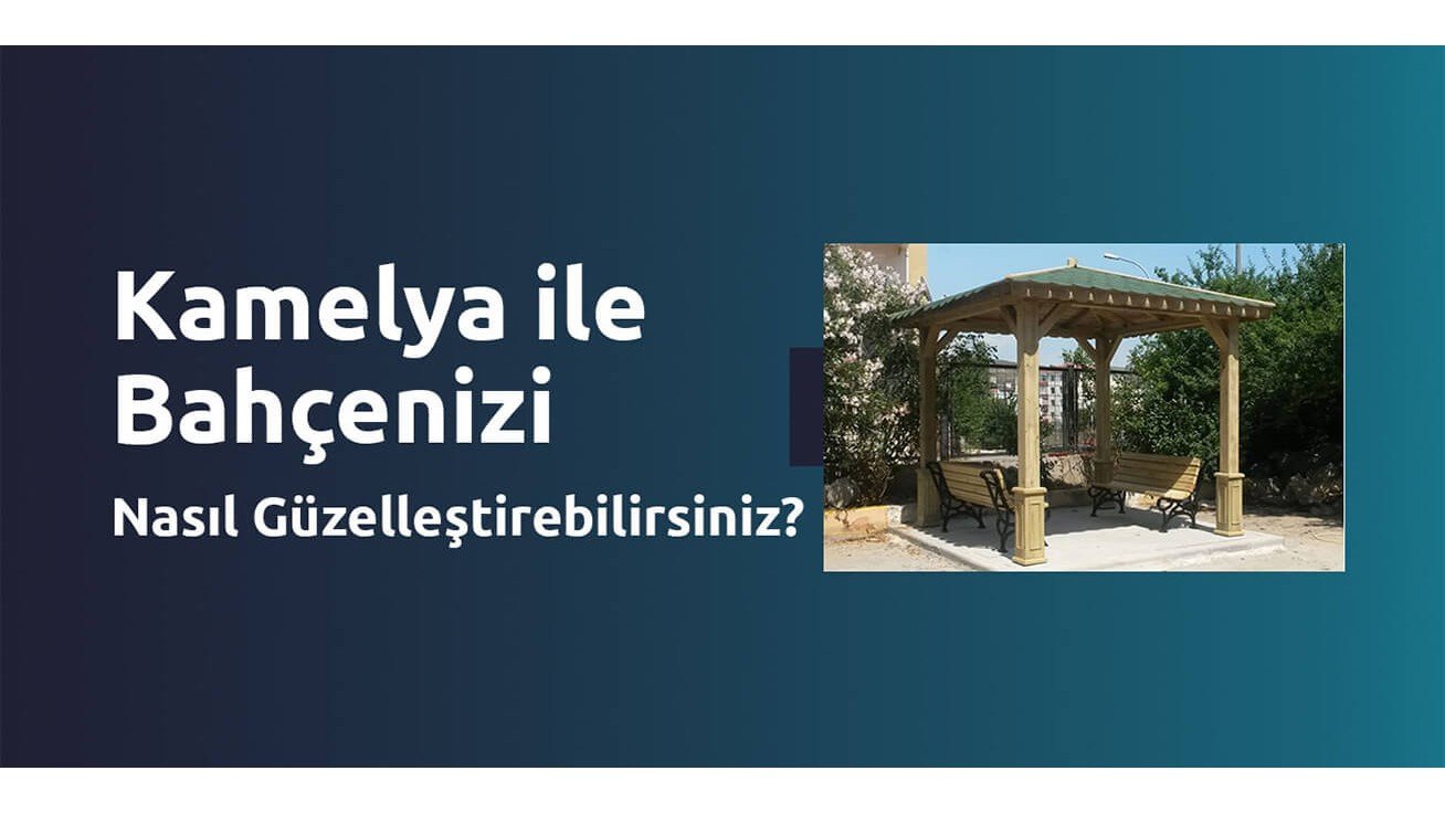 Kamelya ile Bahçenizi Nasıl Güzelleştirebilirsiniz? Kamelya ile Bahçenizi Nasıl Güzelleştirebilirsiniz?