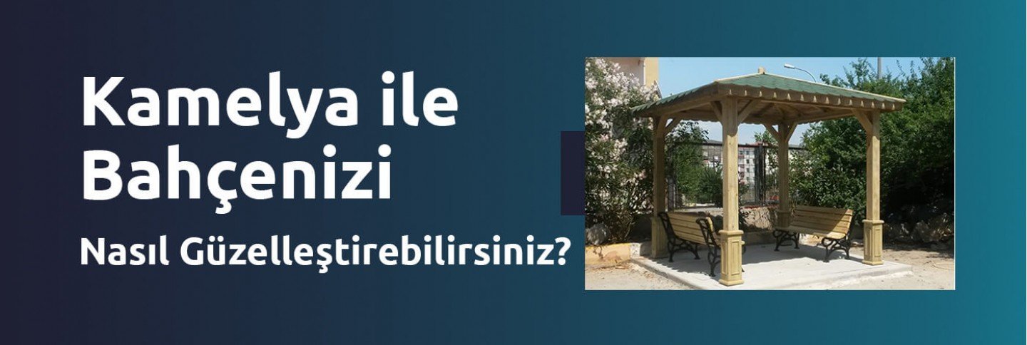Kamelya ile Bahçenizi Nasıl Güzelleştirebilirsiniz? Kamelya ile Bahçenizi Nasıl Güzelleştirebilirsiniz?