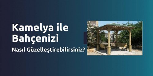 Kamelya ile Bahçenizi Nasıl Güzelleştirebilirsiniz?