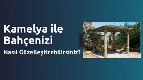 Kamelya ile Bahçenizi Nasıl Güzelleştirebilirsiniz? Kamelya ile Bahçenizi Nasıl Güzelleştirebilirsiniz?