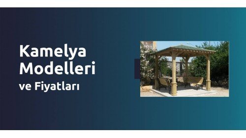 Kamelya Modelleri ve Fiyatları